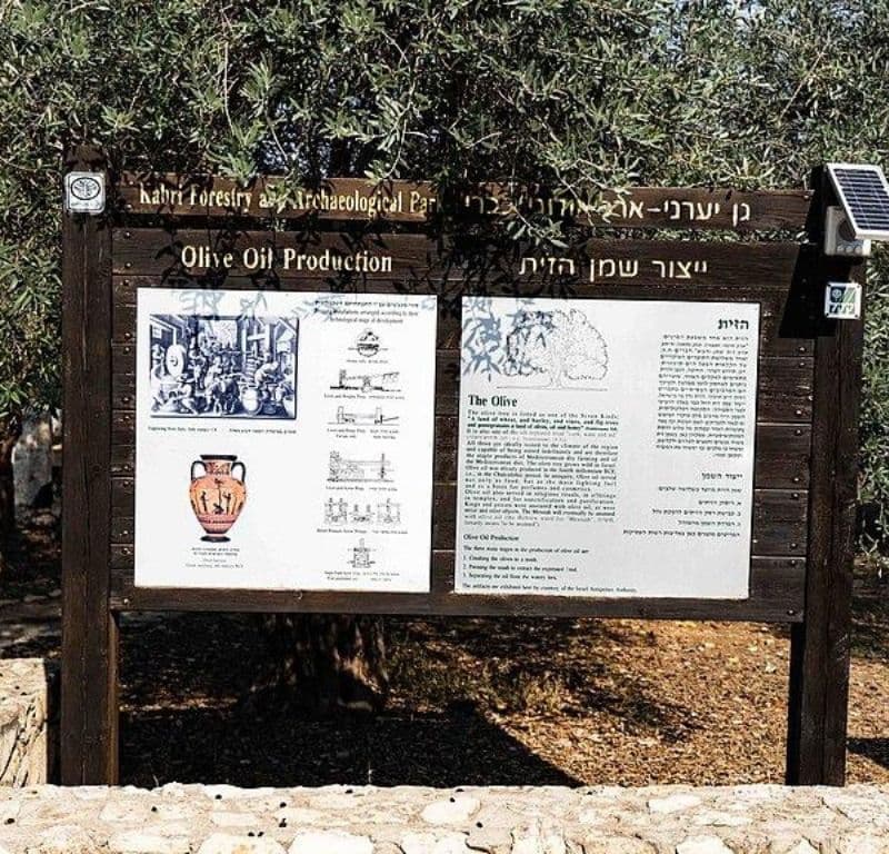 Kabri Archaeological Forest
