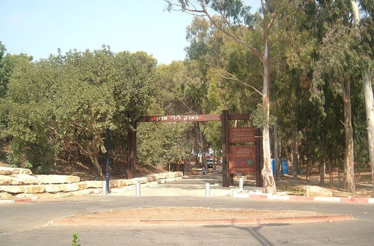 פארק לילי שרון