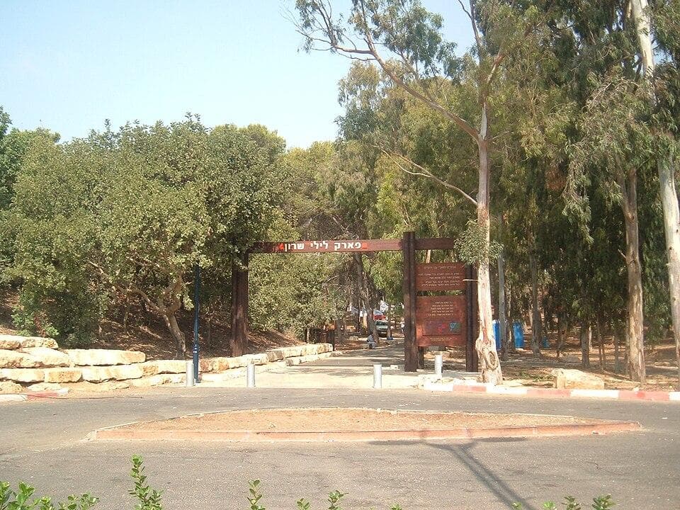 פארק לילי שרון