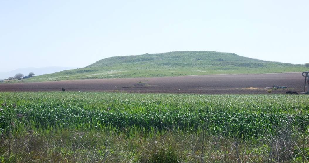 Tel Hanaton