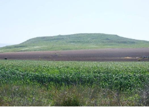 Tel Hanaton