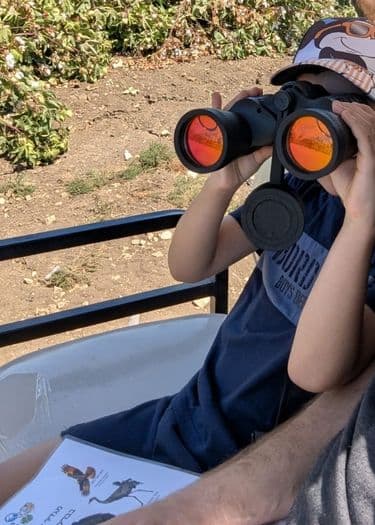 The Field Chariots: Nature Saturdays in Nahal Na’aman