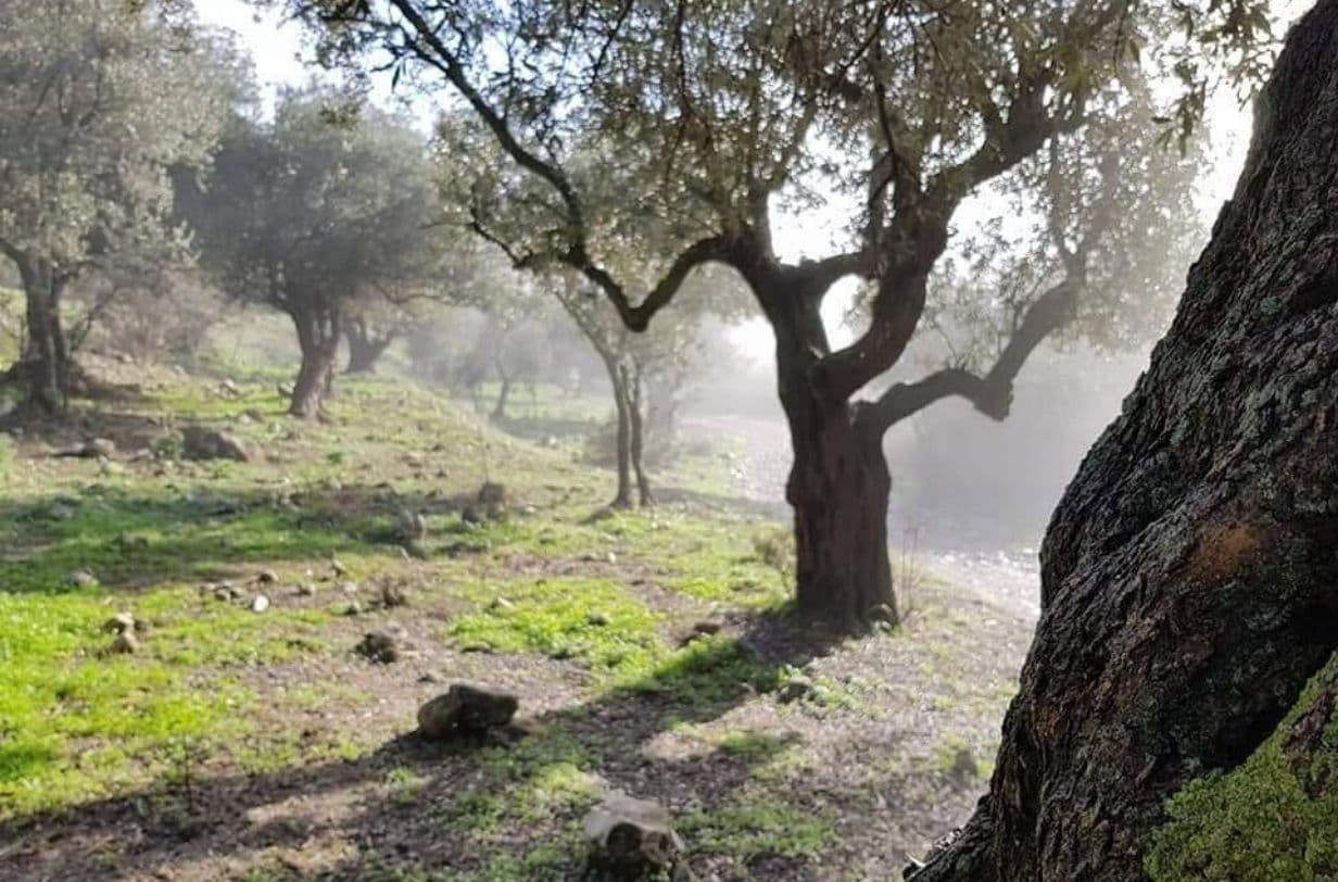 בין הים להר על כביש הצפון.