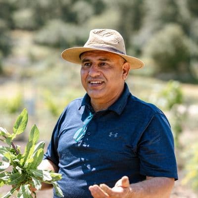 מדאפה - וואפיקי סלמנה
