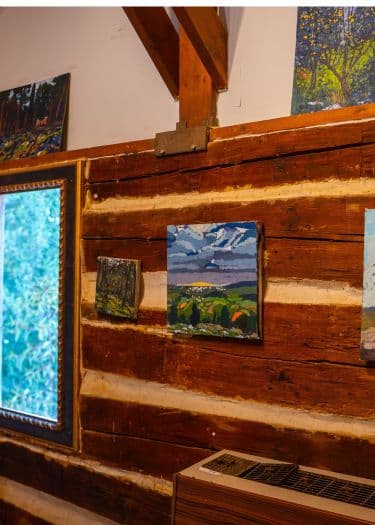Events & Exhibitions at the Ofir Farm