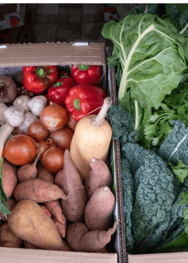 Vegetable & Fruit Deliveries from Dor Pintel