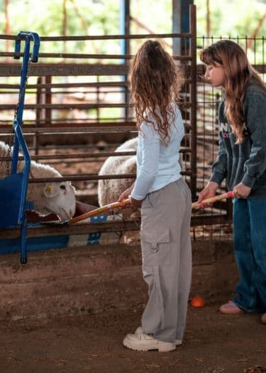 Dugma Dairy Farm – Tours, Workshops & Groups