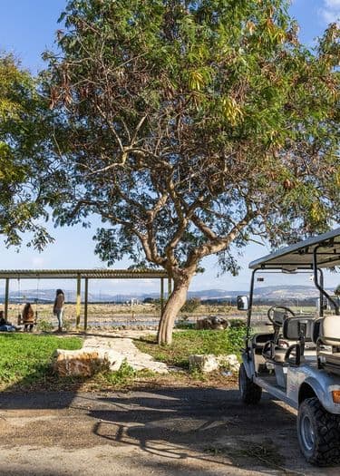 Secrets of the Kibbutz Miracle in Kfar Masaryk
