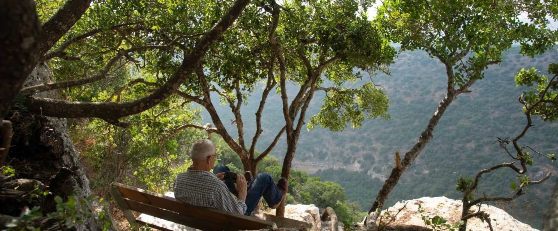 אמנון גופר