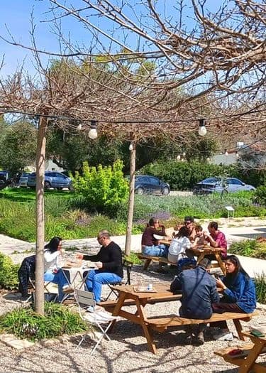לחם סער