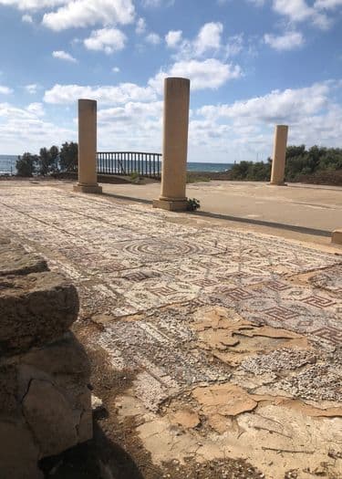 שבי ציון