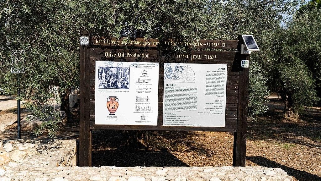 גן יערני ארכיאולוגי